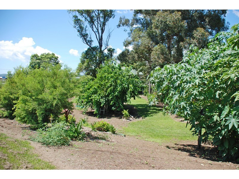 Murwillumbah NSW 2484