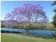 8628 Tweed Valley Way, Tumbulgum NSW 2490