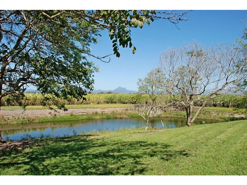 8628 Tweed Valley Way, Tumbulgum NSW 2490