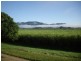 8628 Tweed Valley Way, Tumbulgum NSW 2490