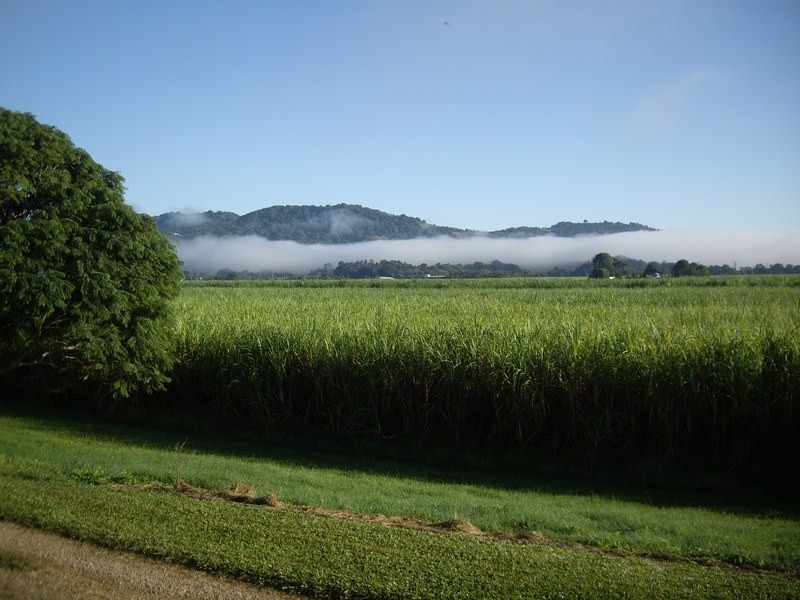 8628 Tweed Valley Way, Tumbulgum NSW 2490