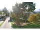13 Barnby Street, Murwillumbah NSW 2484