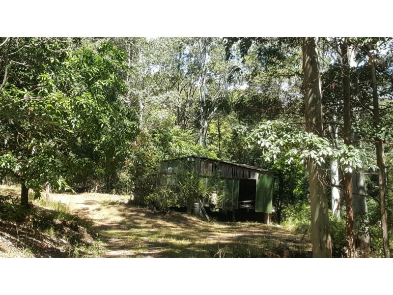 Tyalgum NSW 2484 Floorplan