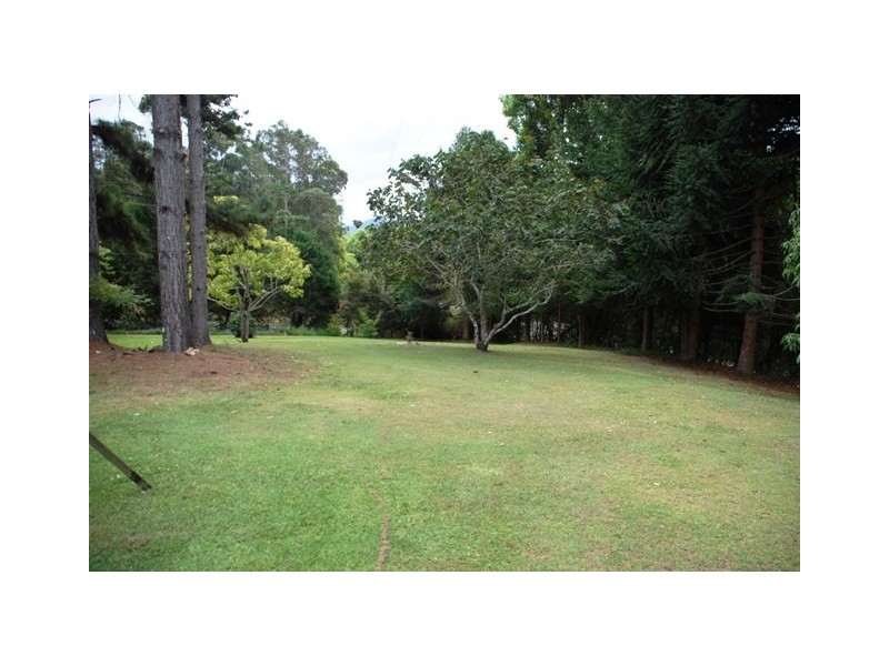 Smiths Creek NSW 2484