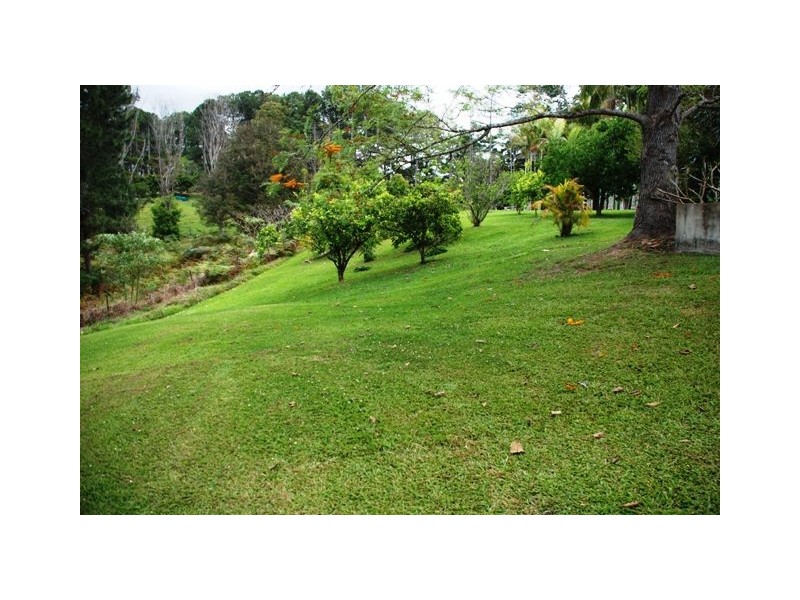 Smiths Creek NSW 2484