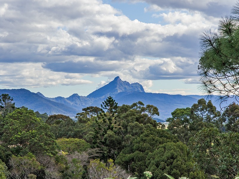 306 Eviron Road, Murwillumbah NSW 2484