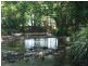 6 Blackwoods Road, Nobbys Creek NSW 2484