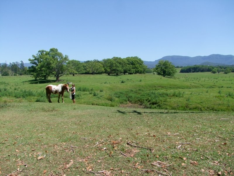 6 Blackwoods Road, Nobbys Creek NSW 2484