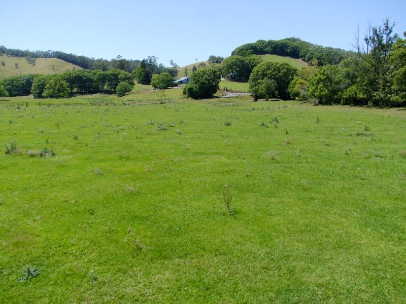 6 Blackwoods Road, Nobbys Creek NSW 2484