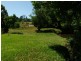 6 Blackwoods Road, Nobbys Creek NSW 2484