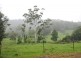 Lot 6 Crookes Valley Road, Crystal Creek NSW 2484