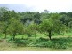 Burringbar NSW 2483