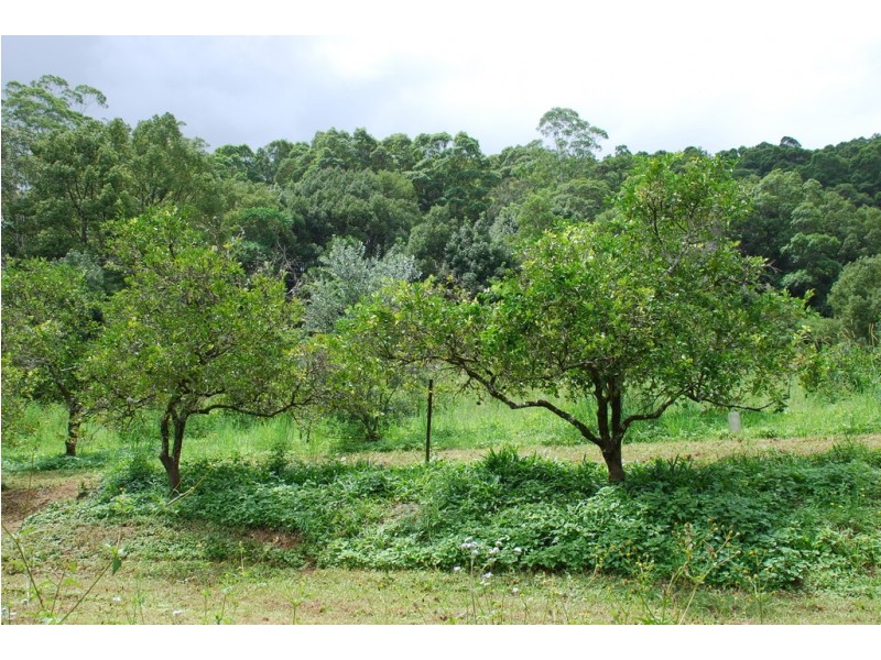 Burringbar NSW 2483