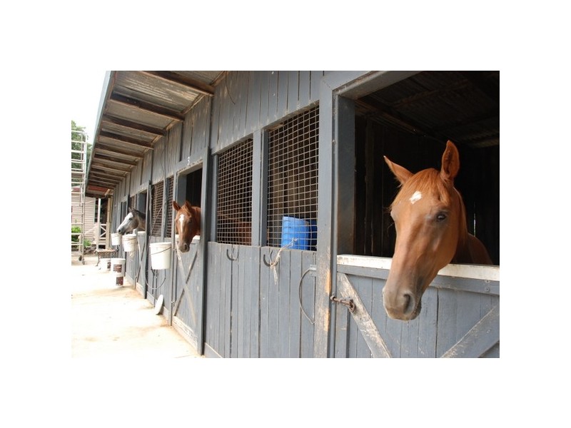 Murwillumbah NSW 2484