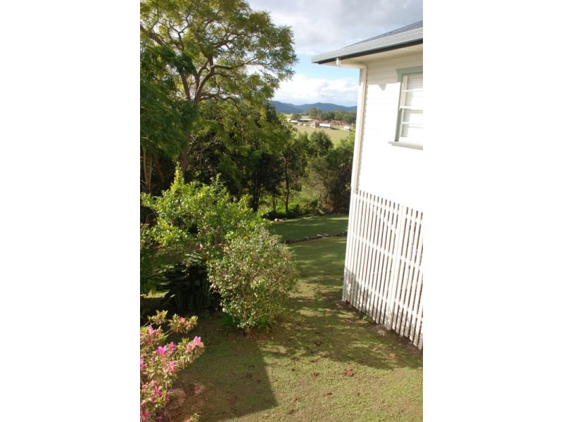 Murwillumbah NSW 2484