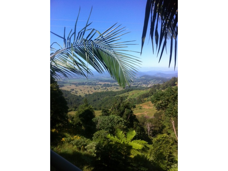 826 Tomewin Road, Tomewin NSW 2484