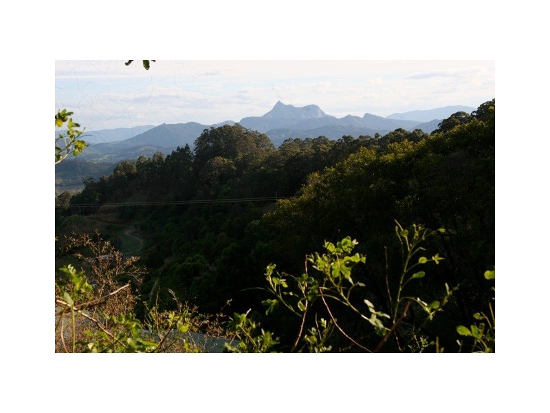 826 Tomewin Road, Tomewin NSW 2484