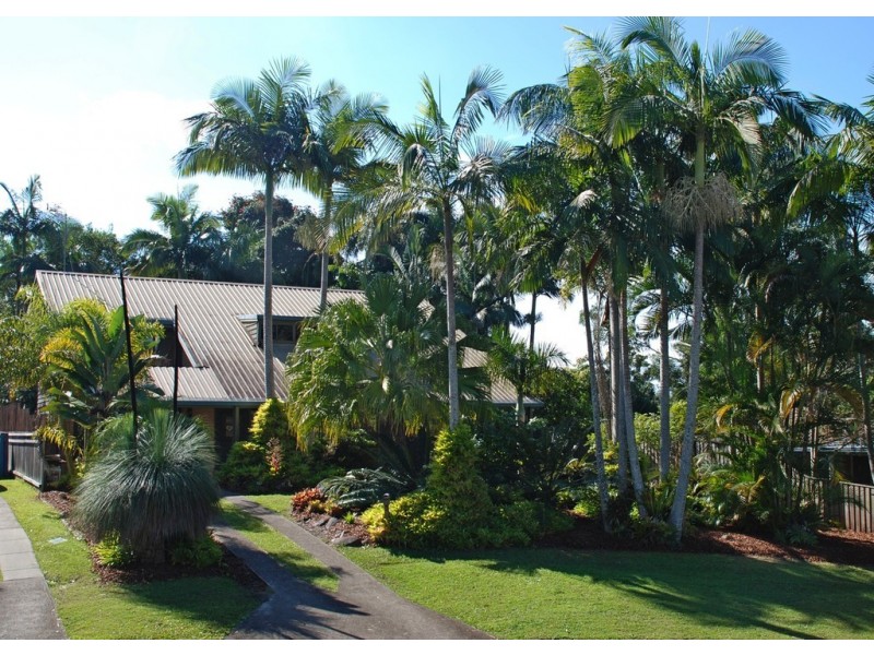 Murwillumbah NSW 2484