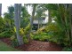 Murwillumbah NSW 2484
