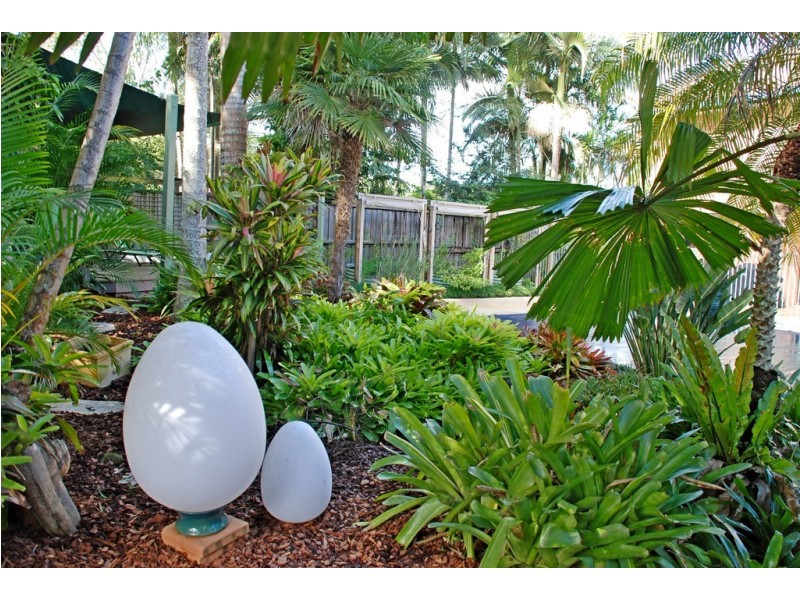 Murwillumbah NSW 2484
