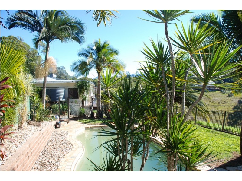 Crystal Creek NSW 2484