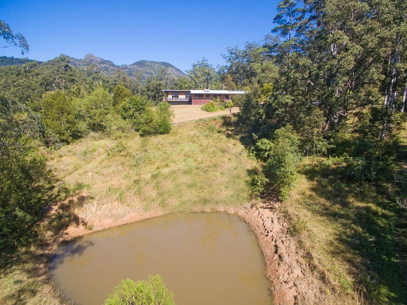 Mount Burrell NSW 2484