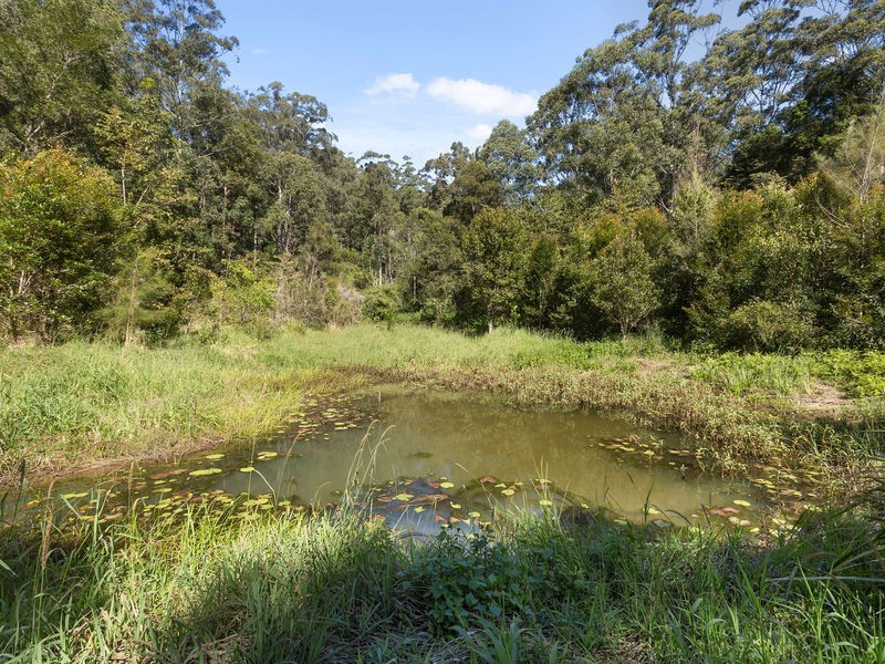 Mount Burrell NSW 2484