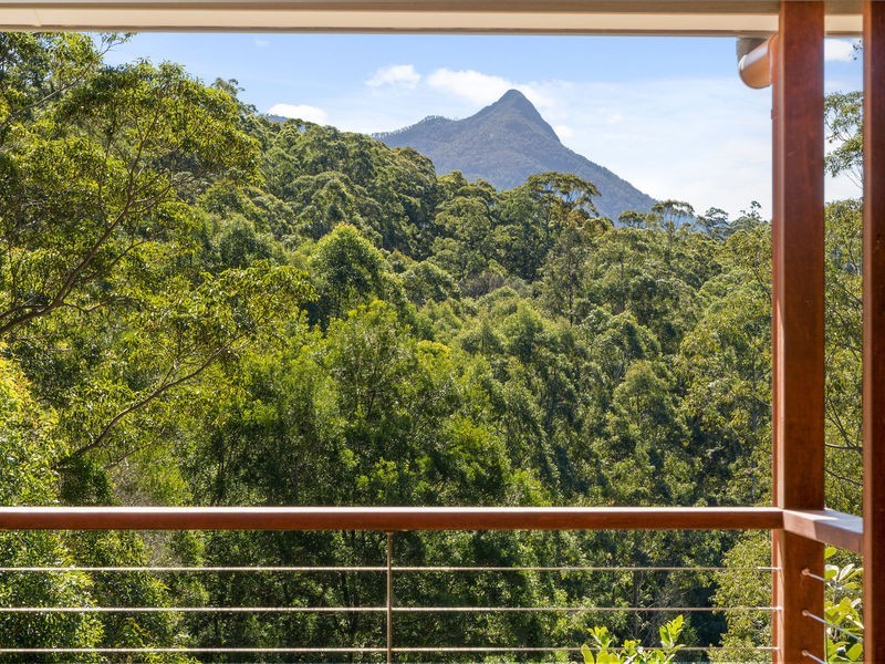 Mount Burrell NSW 2484