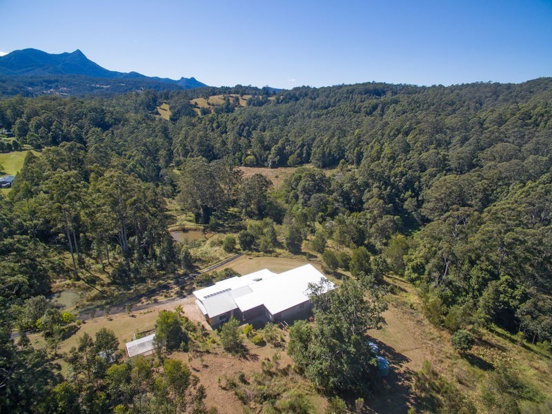 Mount Burrell NSW 2484