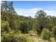 Mount Burrell NSW 2484