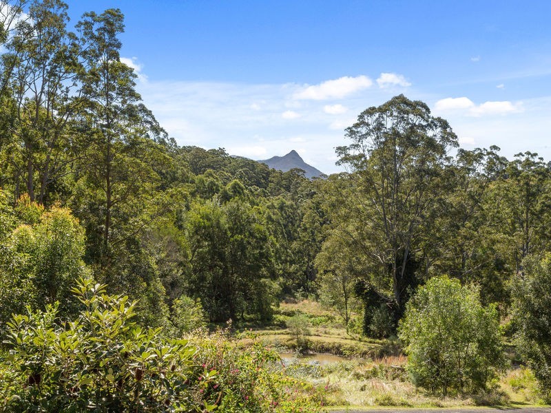 Mount Burrell NSW 2484