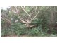 Byangum NSW 2484