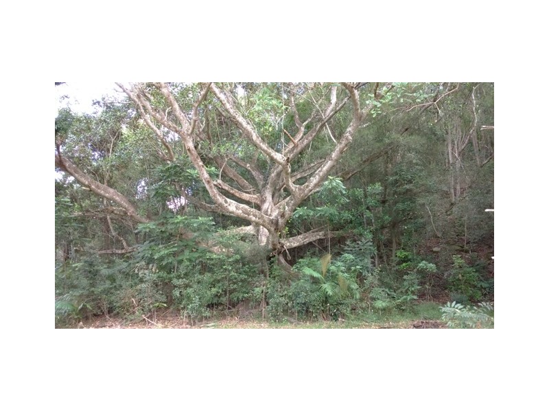 Byangum NSW 2484