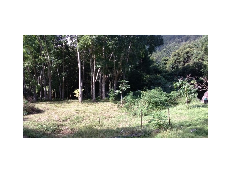 Byangum NSW 2484