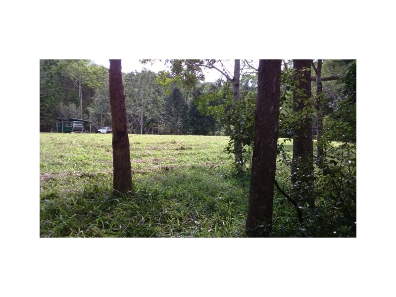 Byangum NSW 2484