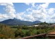 41 RIVEROAK DRIVE, Murwillumbah NSW 2484