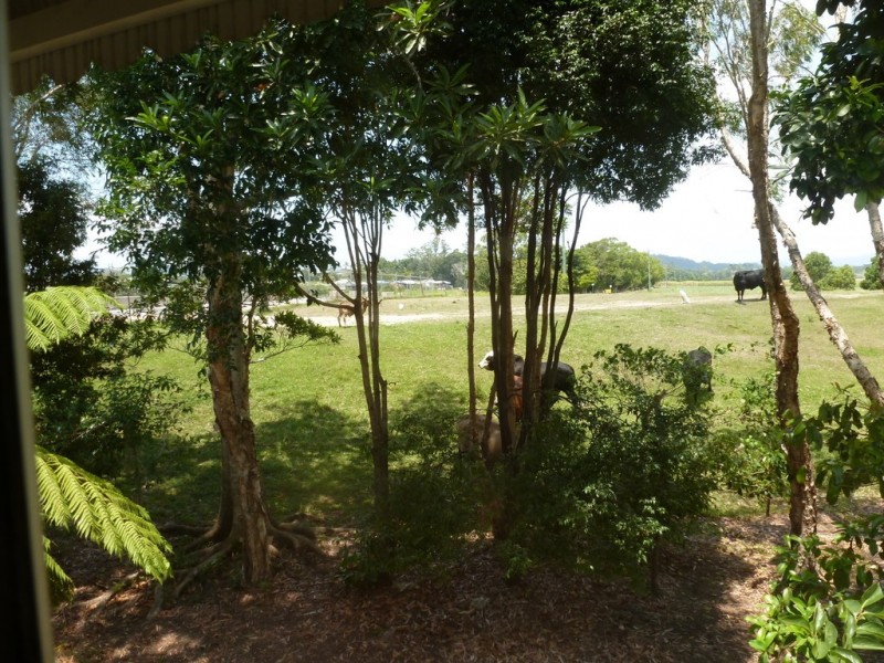 119 Commercial Road, Murwillumbah NSW 2484