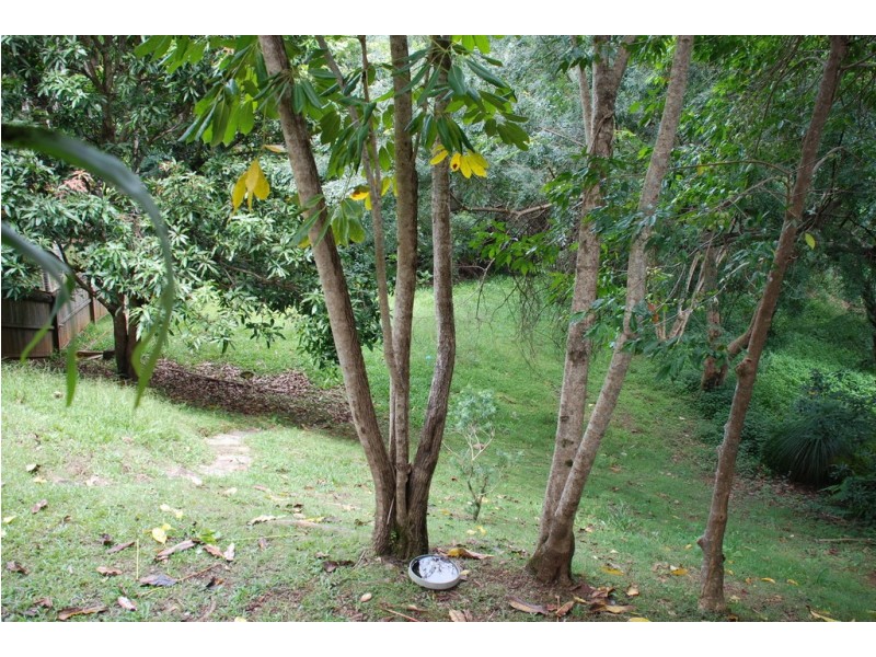 41 Countryside Drive, Murwillumbah NSW 2484