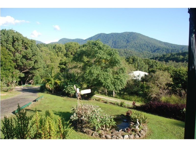 10 Braeside Drive, Uki NSW 2484