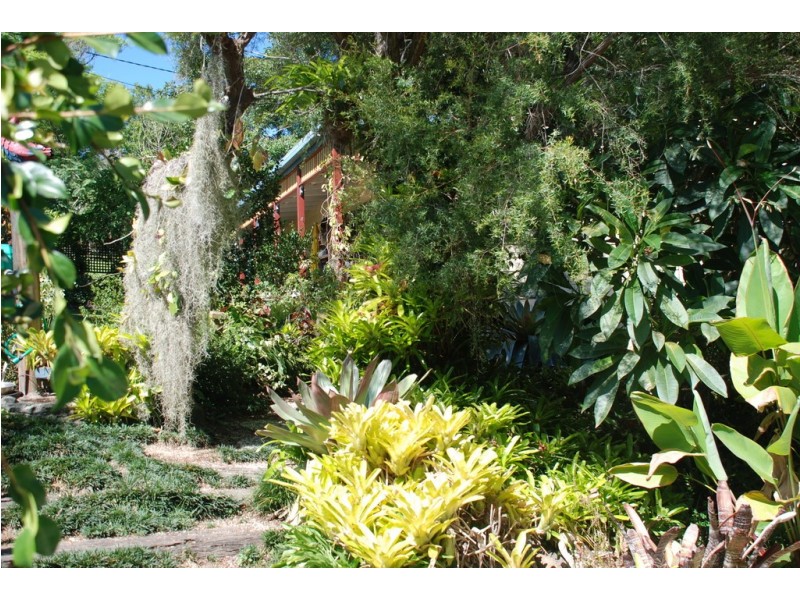 10 Clareville Street, Uki NSW 2484