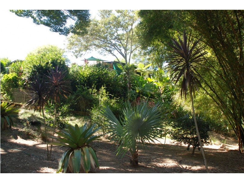 10 Clareville Street, Uki NSW 2484