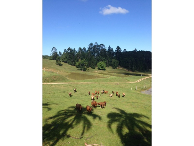 147 Pottsville Road, Mooball NSW 2483
