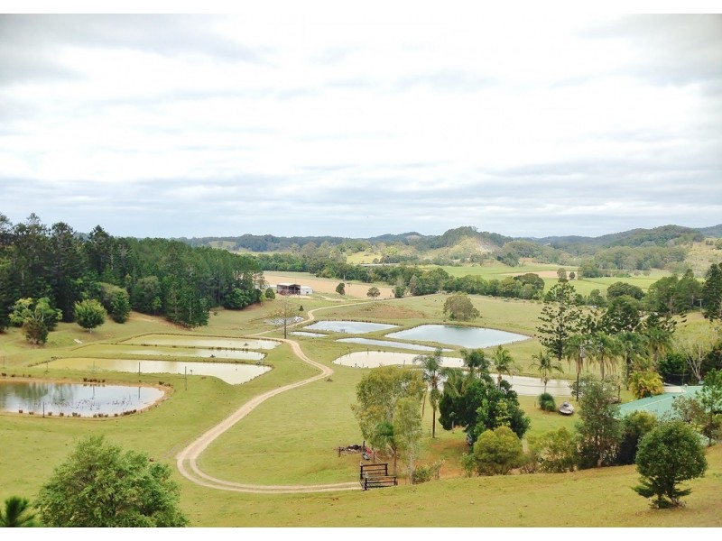 147 Pottsville Road, Mooball NSW 2483