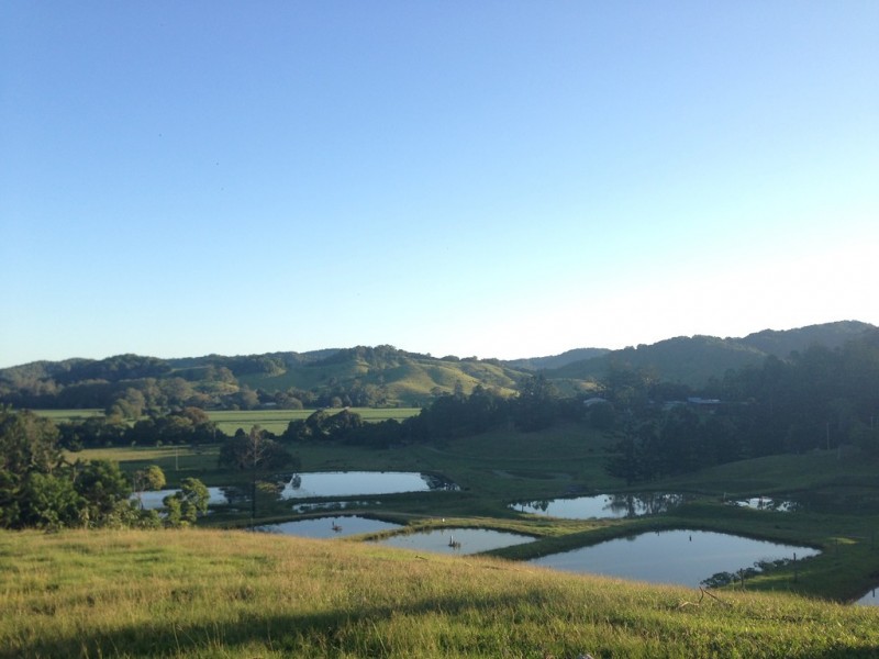 147 Pottsville Road, Mooball NSW 2483