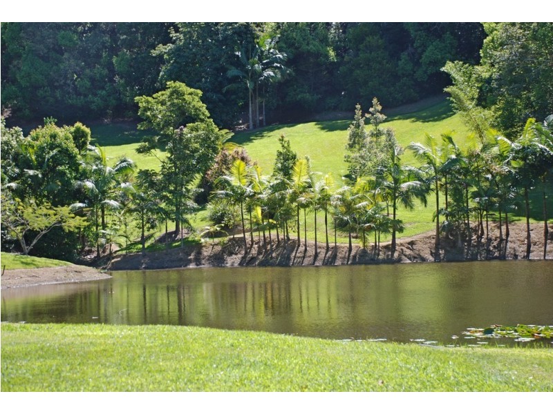 Crystal Creek NSW 2484