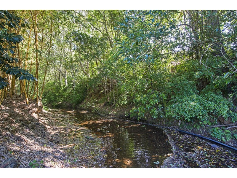 Crystal Creek NSW 2484