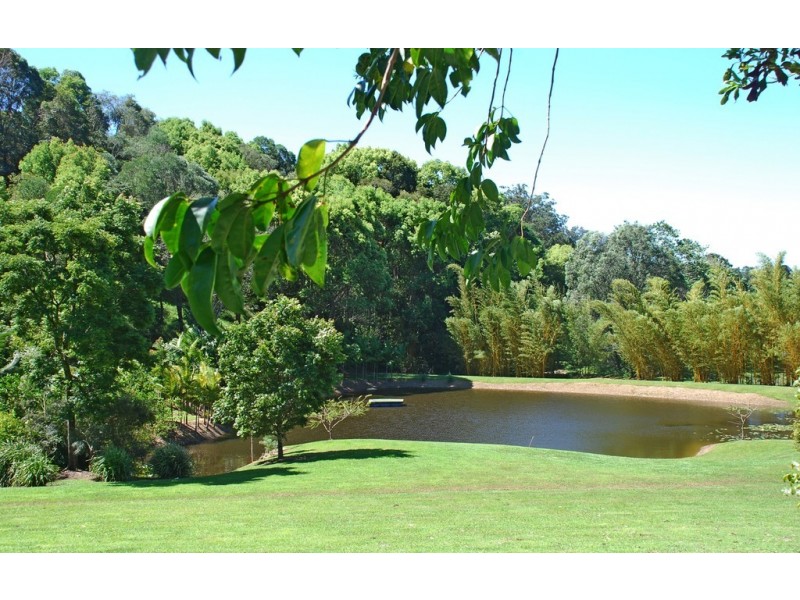 Crystal Creek NSW 2484