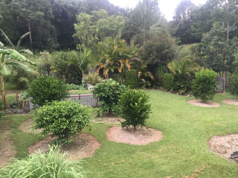 1518 Numinbah Road, Chillingham NSW 2484