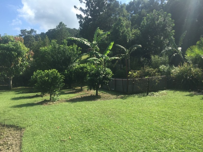 1518 Numinbah Road, Chillingham NSW 2484