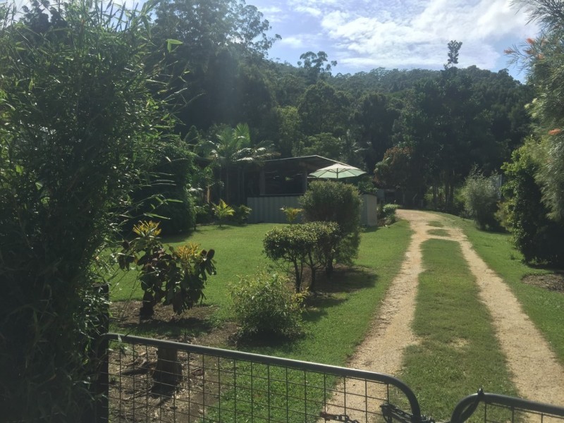 1518 Numinbah Road, Chillingham NSW 2484